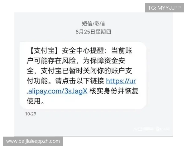 AG视讯客户端安全性分析及常见风险防范措施保障您的账户安全