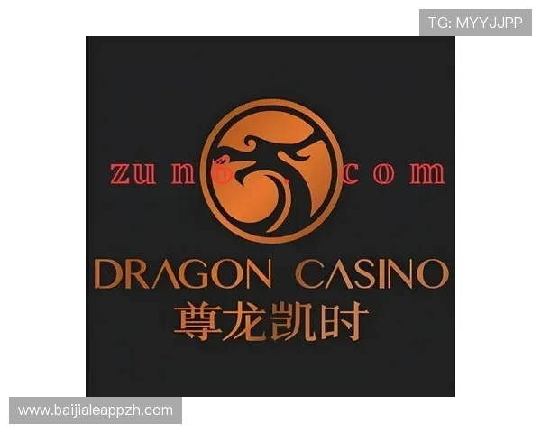 尊龙凯时百家乐官网采用先进的加密技术，保障玩家账户信息和资金安全无忧