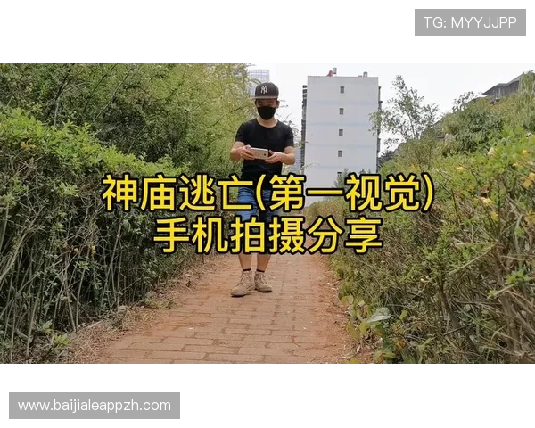 详细解析国际真人手机安装步骤，助你快速进入高品质真人游戏世界